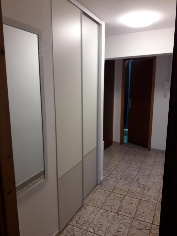 Apartments Pepe Novigrad Istria Εξωτερικό φωτογραφία