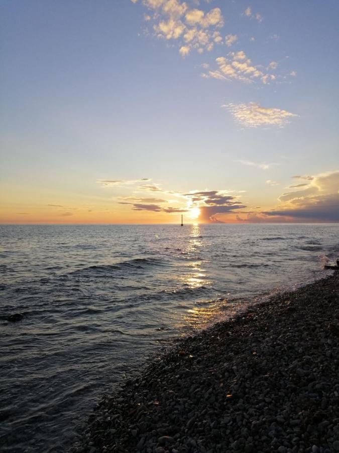 Apartments Pepe Novigrad Istria Εξωτερικό φωτογραφία
