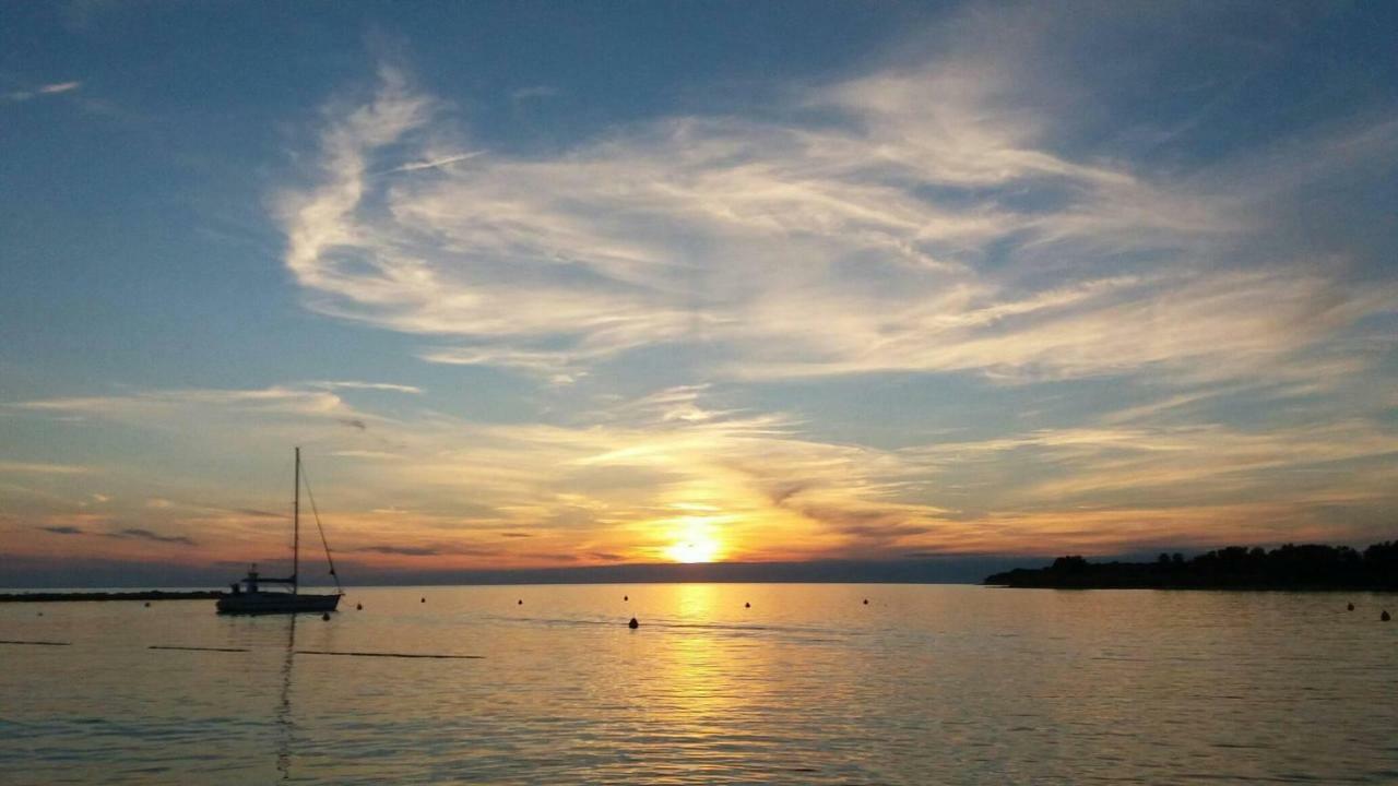 Apartments Pepe Novigrad Istria Εξωτερικό φωτογραφία