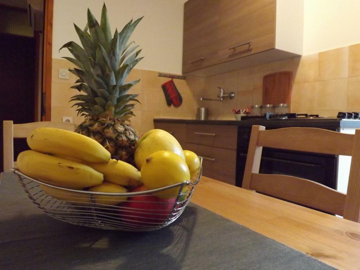 Apartments Pepe Novigrad Istria Εξωτερικό φωτογραφία